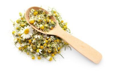 Calming, Charming Chamomile – It’s More Useful Thank You Might Think!