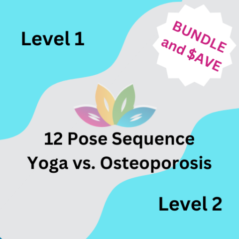 12 Pose Sequence Bundle (Level 1& 2) - iPIVOT-now