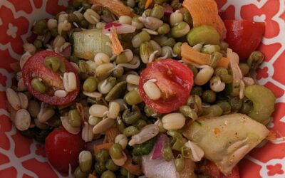 Spicy Sprouted Mung Bean Salad